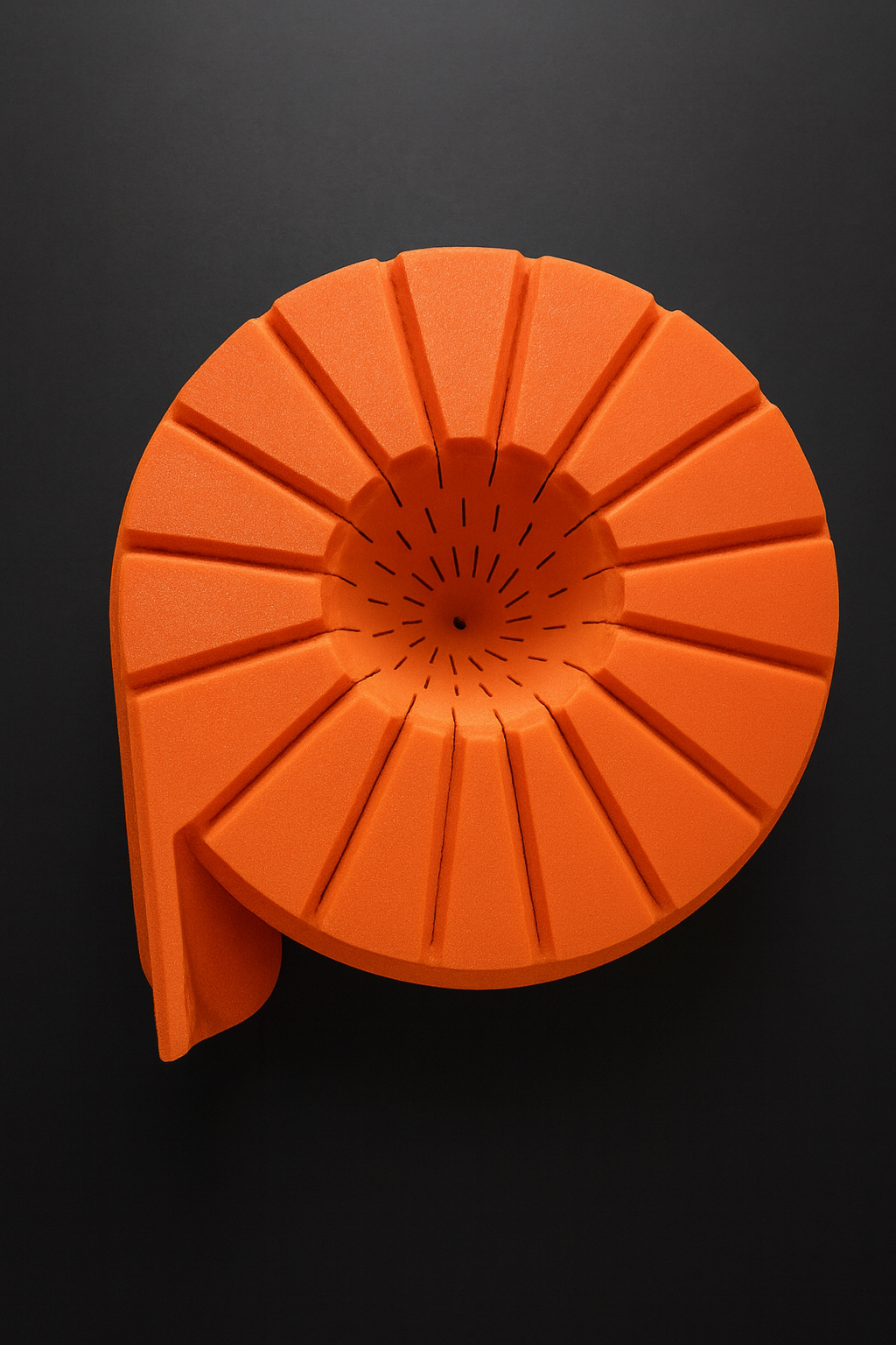 Bær, Frukt & Risvasker