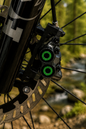 Color RIngs Magura