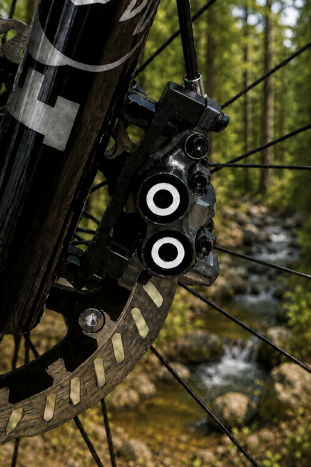 Color RIngs Magura